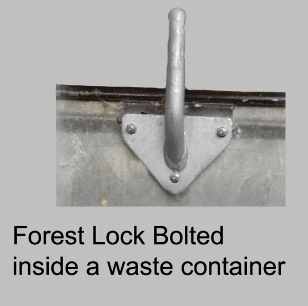 Forest Lock - Image 2